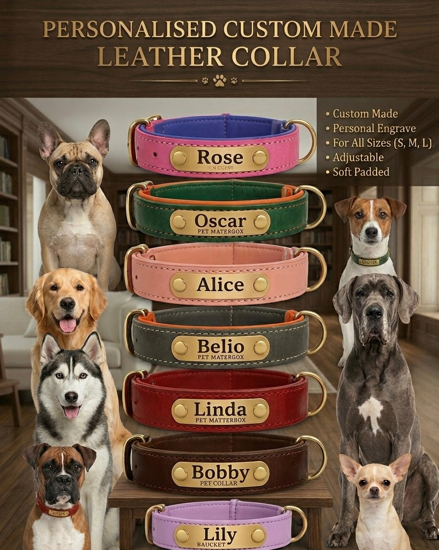personalised custom leather collar